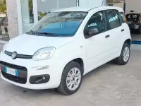 Usata Fiat Panda Easy 70 CV (51 kW) 2018 Bianco Utilitaria