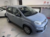 Usata Fiat Panda Lounge 69 CV (50 kW) 2020 Grigio Utilitaria
