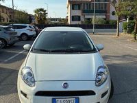Usata Fiat Punto Lounge 77 CV (56 kW) 2014 Utilitaria