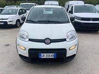 Usata Fiat Panda S 69 CV (50 kW) 2023 Bianco Utilitaria