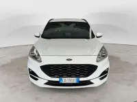 Usata Ford Kuga ST-Line 120 CV (88 kW) 2021 Bianco SUV