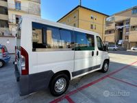 usata Fiat Ducato panorama 9 posti