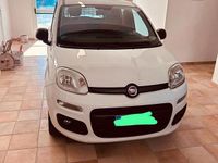 Usata Fiat Panda 4x4 2017 Bianco Utilitaria