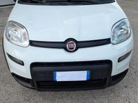 usata Fiat Panda 3ª serie - 2021