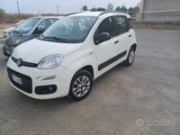 usata Fiat Panda Punto 0.9 TwinAir Turbo 105 CV S&S 5 porte Lounge