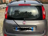 Usata Fiat Panda City Life 69 CV (50 kW) 2022 Marrone Utilitaria