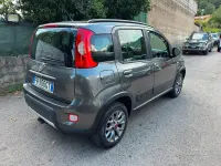 Usata Fiat Panda Cross Cross 95 CV (69 kW) 2017 Verde Utilitaria