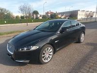 usata Jaguar XF 2.2d s&s auto