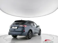 Usata Ford Kuga ST-Line X 190 CV (139 kW) 2022 Blu SUV