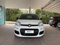 usata Fiat Panda 1.2 69cv S&S E6d-Temp Pop