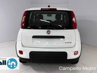 usata Fiat Panda 2ª serie 1.0 70cv Hybrid My23