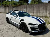 Usata Ford Mustang Fastback 317 CV (233 kW) 2021 Coupé