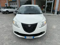 Usata Lancia Ypsilon 85 CV (62 kW) 2015 Bianco Utilitaria