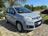 Usata Fiat Panda Easy 69 CV (50 kW) 2019 Grigio Utilitaria