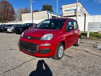 Nuova Fiat Panda S 69 CV (50 kW) 2025 Rosso Utilitaria