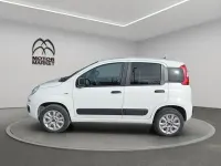 Usata Fiat Panda 4x4 Pop 85 CV (62 kW) 2020 Bianco Utilitaria