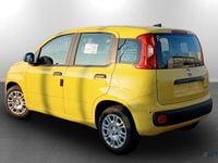 Nuova Fiat Panda Icon 69 CV (50 kW) 2025 Giallo Utilitaria