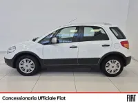 Usata Fiat Sedici Dynamic 120 CV (88 kW) 2014 Bianco SUV