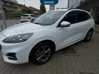 Usata Ford Kuga ST-Line X 190 CV (139 kW) 2023 Bianco SUV
