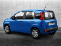 Usata Fiat Panda S 69 CV (50 kW) 2024 Blu/azzurro Utilitaria