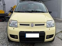 Usata Fiat Panda 4x4 Climbing 60 CV (44 kW) 2006 Giallo Utilitaria