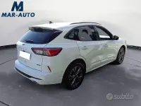 Usata Ford Kuga ST-Line 225 CV (165 kW) 2023 Bianco SUV