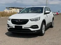 Usata Opel Grandland X 2020 Bianco SUV