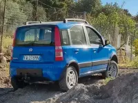Occasion Fiat Panda 4x4 69 ch (50 kW) 2011 Citadine