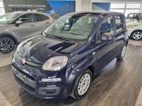 Usata Fiat Panda 69 CV (50 kW) 2020 Blu/azzurro Utilitaria