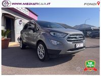 Usata Ford Ecosport Titanium 125 CV (91 kW) 2020 Grigio SUV
