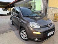 Usata Fiat Panda Cross Cross 69 CV (50 kW) 2022 Grigio Utilitaria