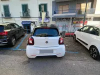 Usata Smart ForFour 71 CV (52 kW) 2019 Bianco Utilitaria