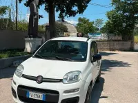 Usata Fiat Panda 85 CV (62 kW) 2015 Bianco Utilitaria