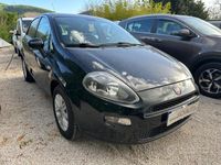 usata Fiat Punto 1.2 8V 5 porte Street