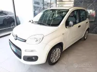 Usata Fiat Panda Lounge 69 CV (50 kW) 2020 Bianco Utilitaria