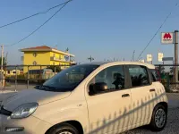 Usata Fiat Panda Lounge 69 CV (50 kW) 2017 Beige Utilitaria