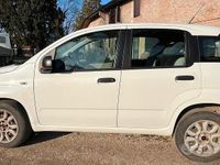Usata Fiat Panda 80 CV (58 kW) 2015 Bianco Utilitaria