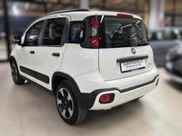 Usata Fiat Panda Cross Cross 69 CV (50 kW) 2021 Bianco Utilitaria