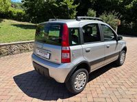 Usata Fiat Panda 4x4 Climbing 60 CV (44 kW) 2005 Grigio Utilitaria