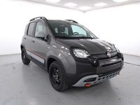 Usata Fiat Panda Cross Cross 70 CV (51 kW) 2023 Grigio Utilitaria