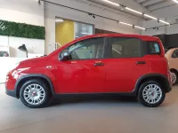 Usata Fiat Panda Pop 70 CV (51 kW) 2024 Utilitaria