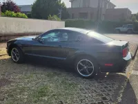 Usata Ford Mustang Bullitt 320 CV (235 kW) 2020 Verde Coupé