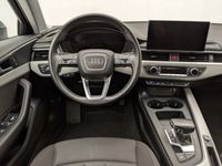 usata Audi A4 Avant 30 TDI/136 CV S tronic Business Advanced