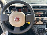 usata Fiat Panda 4x4 1.3 MJT 95 CV S&S TREKKING -2016