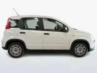 Usata Fiat Panda Easy 69 CV (50 kW) 2024 Bianco Utilitaria