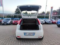 usata Fiat Punto 1.2 8V 5 porte Lounge NEOPATENTATI FINANZIABILE