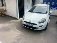 Usata Fiat Punto Lounge 85 CV (62 kW) 2014 Bianco Utilitaria