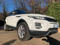 Usata Land Rover Range Rover evoque Prestige 150 CV (110 kW) 2012 Bianco SUV