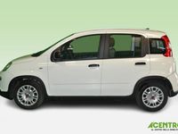 Occasion Fiat Panda 70 ch (51 kW) 2022 Blanc Citadine