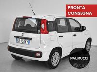 Usata Fiat Panda Easy 69 CV (50 kW) 2017 Other Utilitaria